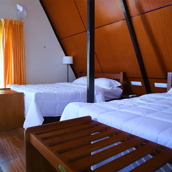 Hospitality in Kerala